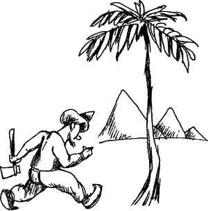 Ирина Пигулевская - Не мудрствуя лукаво. Крылатые слова и выражения