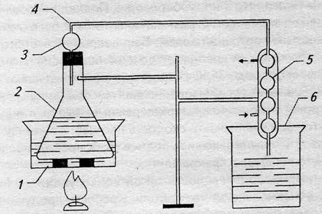 Евгения Малёнкина - Крепкие напитки