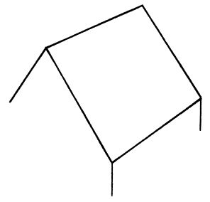 Аурика Луковкина - Архитектура и устройство крыши