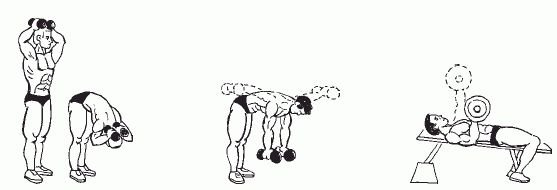 Леонид Дворкин - Подготовка юного тяжелоатлета