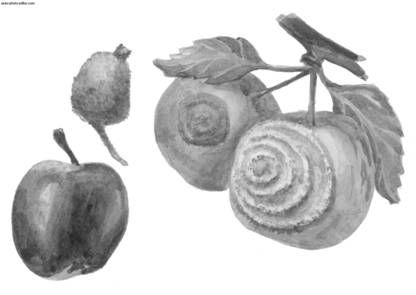 Ирина Иофина - Сбор и хранение урожая