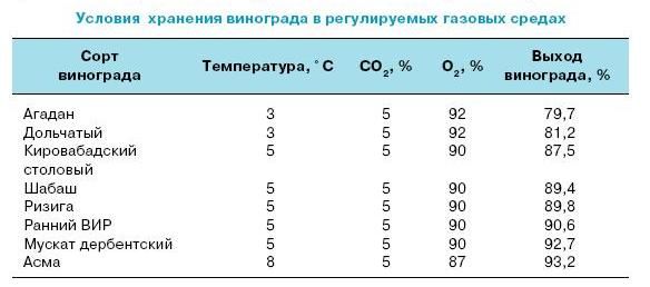 Ирина Иофина - Сбор и хранение урожая