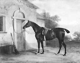 Джон Бергер - Искусство видеть