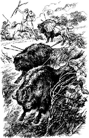 Лизелотта Вельскопф-Генрих - Харка - сын вождя