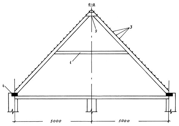 Аурика Луковкина - Архитектура и устройство крыши