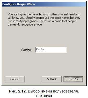 Сергей Фрузоров - Бесплатные разговоры через Интернет