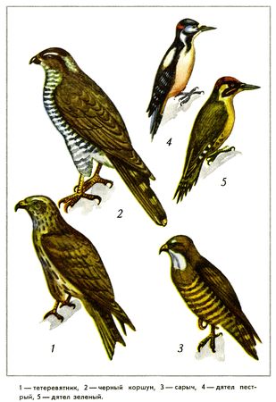 Юрий Дмитриев - Путешествие на всю жизнь