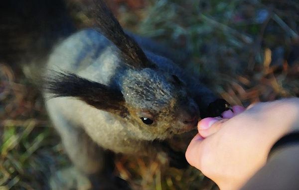 А. Корякина - Дорога в облаках