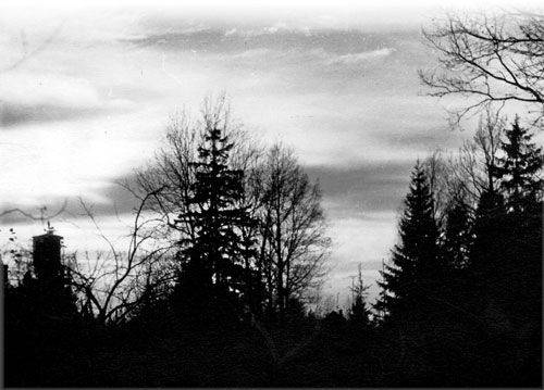 Ирина Галкина - Моя жизнь