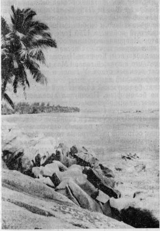 Бенгт Шёгрен - Осколки континента