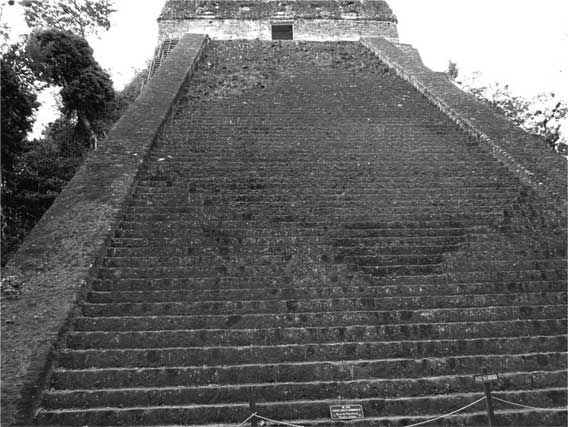 Олег Фейгин - Феномен Мессинга. Как получать информацию из будущего?