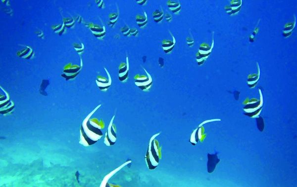 А. Корякина - Дорога в облаках