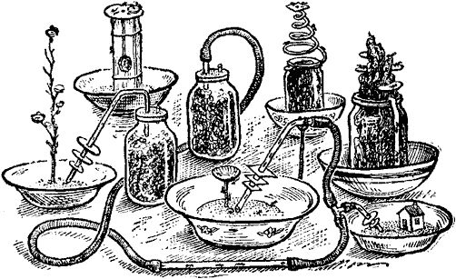 Виктор Гребенников - Тайны мира насекомых