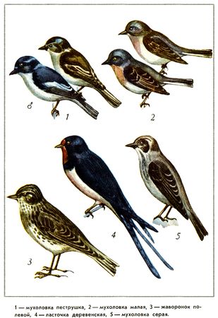 Юрий Дмитриев - Путешествие на всю жизнь