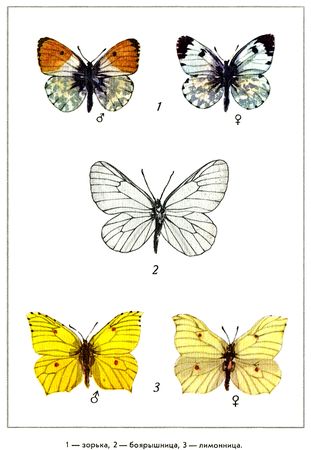 Юрий Дмитриев - Путешествие на всю жизнь