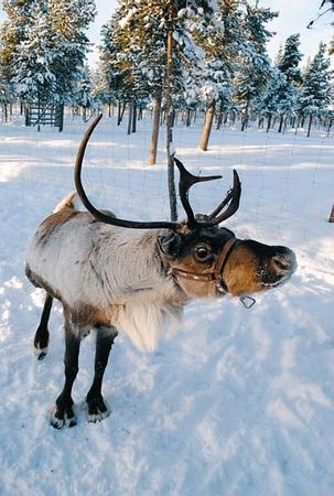 Константин Стогний - Сокровища майя и конец света