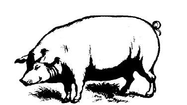 Саша Чёрный - Смех сквозь слезы