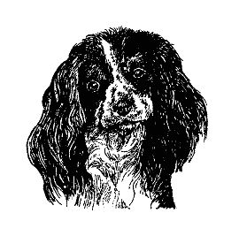 Бернгард Гржимек - Наши братья меньшие