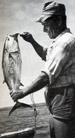 Хайнц Зильман - В стране драконов и сказочных птиц