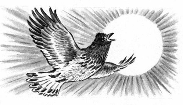 Георгий Скребицкий - Длиннохвостые разбойники (сборник)