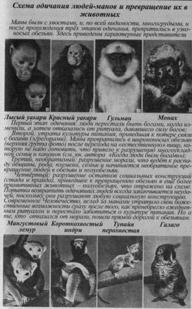 Владимир Шемшук - Возвращение Рая на Землю