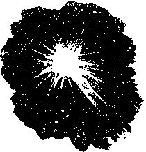 Валентина Журавлева - Сквозь время. (Сборник)