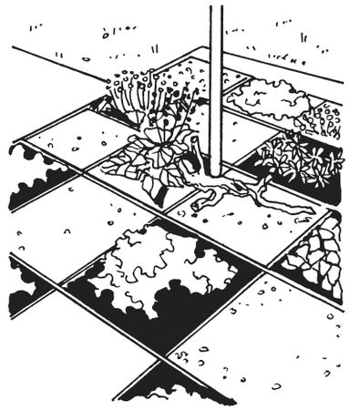 Светлана Ращупкина - Поделки из морских камешков и ракушек