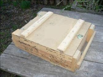 Алексей Штейн - Проходная пешка