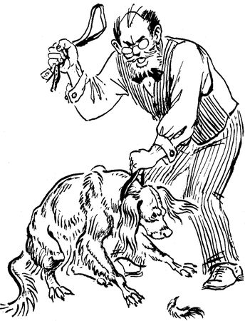 Борис Житков - Что бывало (сборник)