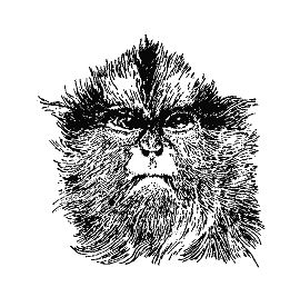 Бернгард Гржимек - Наши братья меньшие