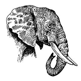 Бернгард Гржимек - Наши братья меньшие