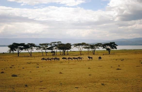 Константин Стогний - Сокровища майя и конец света