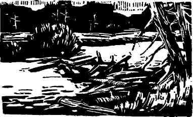 Александр Граевский - Морской узел