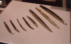 Древняя Мексика без кривых зеркал