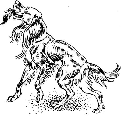 Борис Житков - Что бывало (сборник)