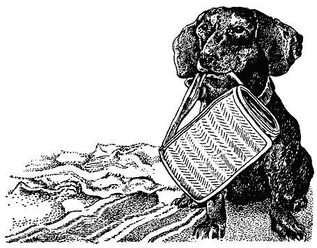 Бернгард Гржимек - Наши братья меньшие