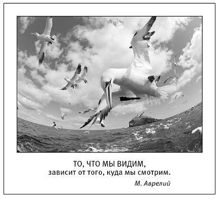 Ксения Меньшикова - Хитросплетения судьбы, или В каком измерении ты живешь?...