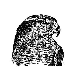 Бернгард Гржимек - Наши братья меньшие