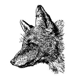 Бернгард Гржимек - Наши братья меньшие