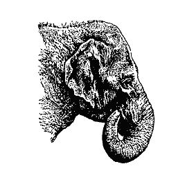 Бернгард Гржимек - Наши братья меньшие