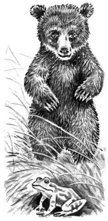 Георгий Скребицкий - Длиннохвостые разбойники (сборник)