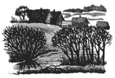 Василий Белов - Бухтины вологодские завиральные