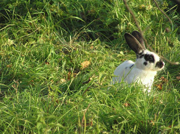 Андрей Кашкаров - Справочник настоящего мужчины