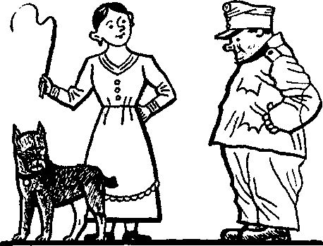 Йозеф Лада - Картинки похождений бравого солдата Швейка