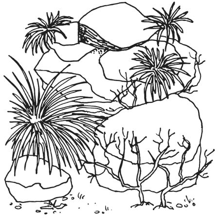 Светлана Ращупкина - Поделки из морских камешков и ракушек