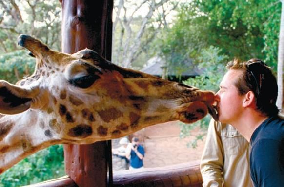 Константин Стогний - Сокровища майя и конец света