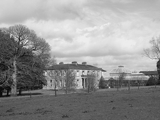 Елена Прокофьева, Марьяна Скуратовская - 100 великих свадеб