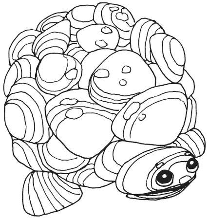 Светлана Ращупкина - Поделки из морских камешков и ракушек