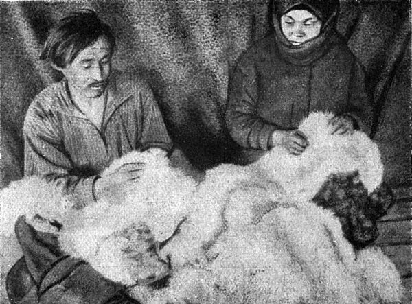 Викторин Попов - Люди Большой Земли