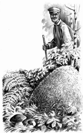 Георгий Скребицкий - Длиннохвостые разбойники (сборник)